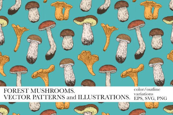 Capturing Nature: The Art of Forest Mushrooms Illustrations