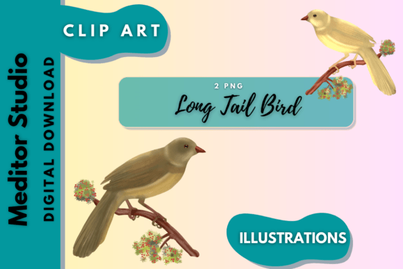 Long Tail Bird Illustrations: Elevate Your Creative Projects